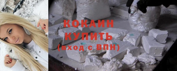 дмт Богданович