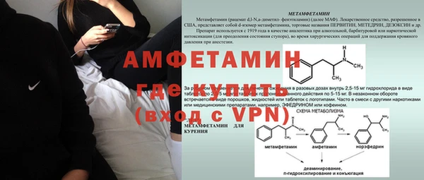 дмт Богданович