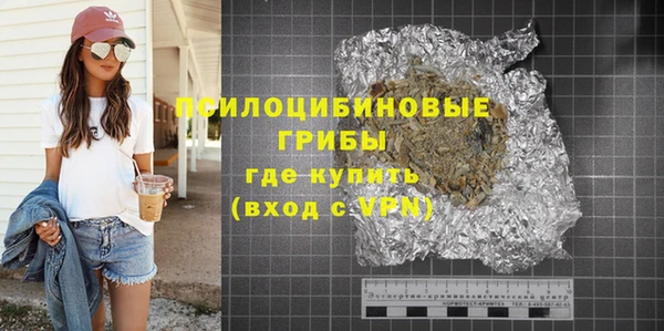 дмт Богданович