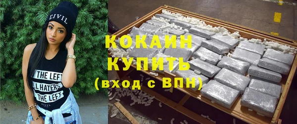 дмт Богданович