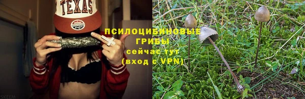 марки nbome Богородицк