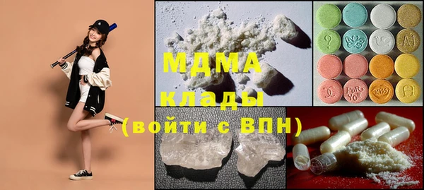 дмт Богданович