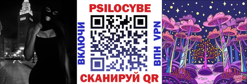 Псилоцибиновые грибы Psilocybe  даркнет сайт  блэк спрут зеркало  Бугульма 