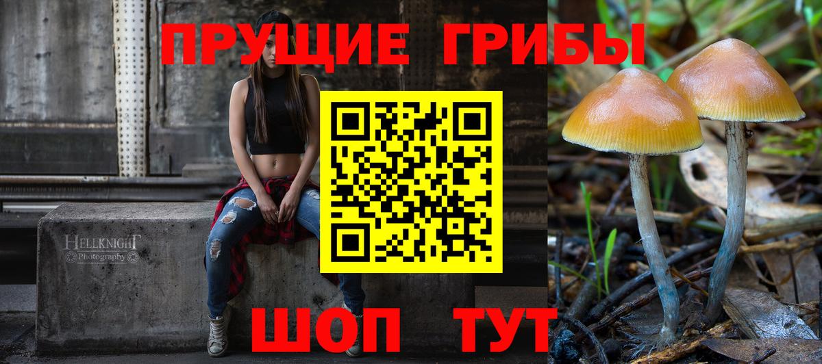 Псилоцибиновые грибы Cubensis Бугульма