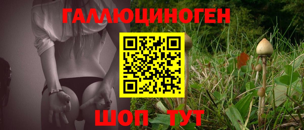 Псилоцибиновые грибы Psilocybe Бугульма