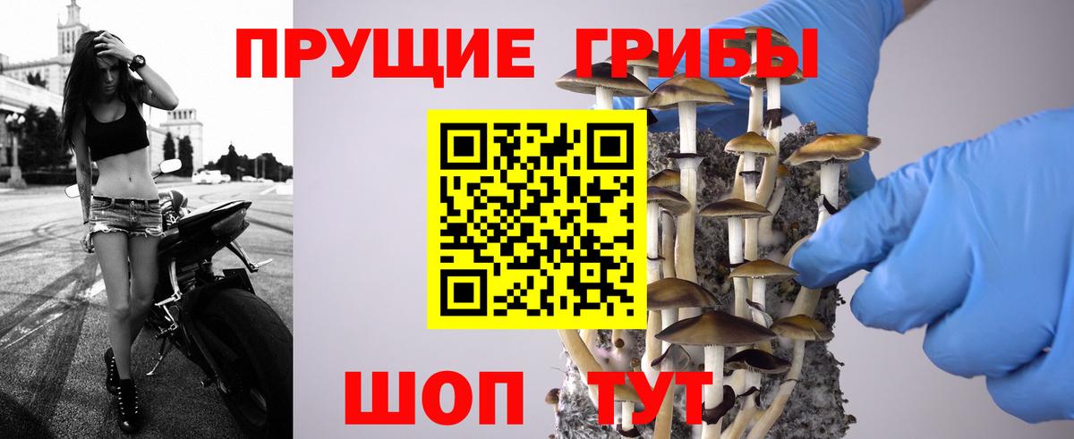 Галлюциногенные грибы мицелий  Галлюциногенные грибы мицелий  Бугульма 